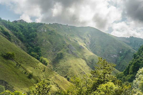 Guida alla scelta del miglior pacchetto bevande per la tua crociera: consigli e suggerimenti